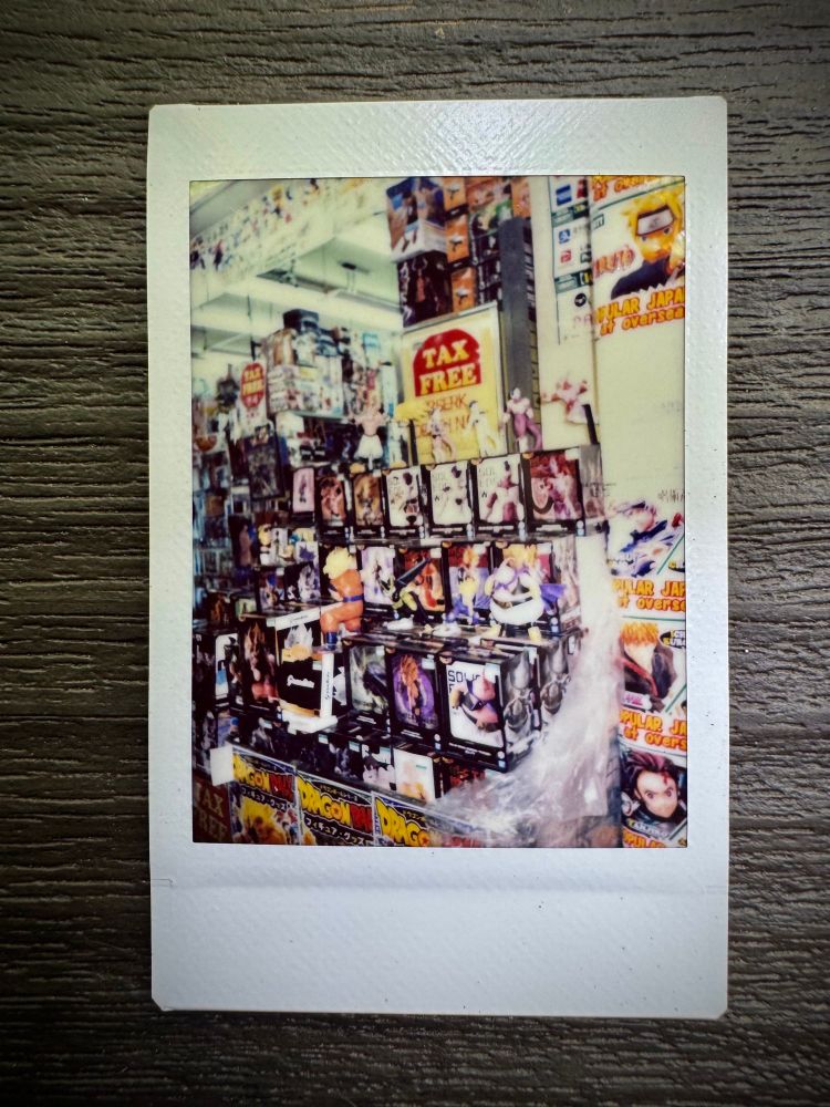 Random figuring store in Akihabara 2025