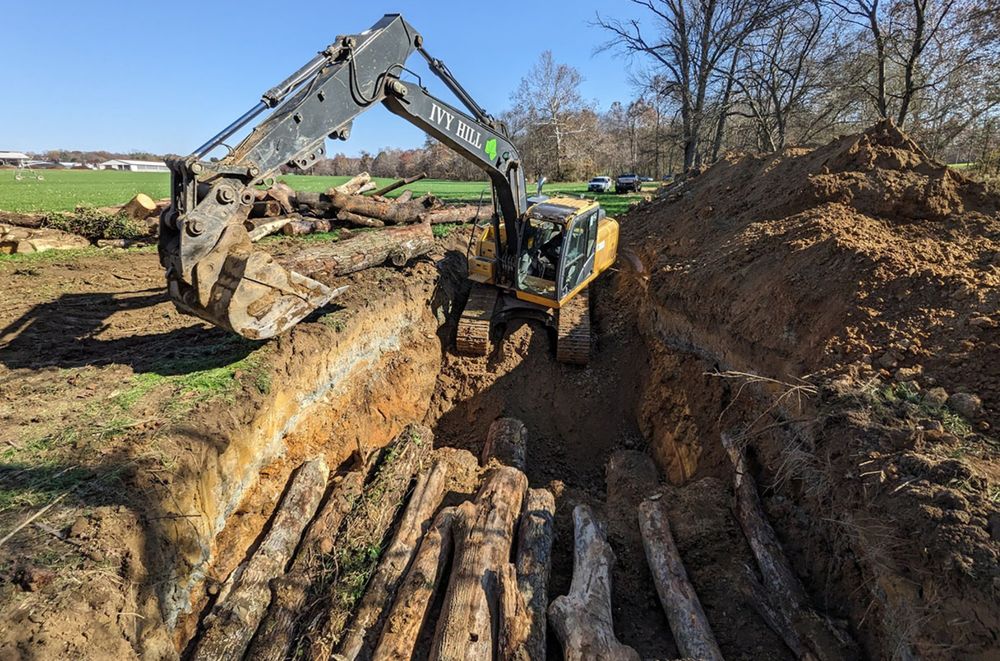 Burying wood in ‘vaults’ could help fight global warming