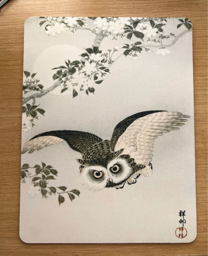 Owl flying past flowering branches