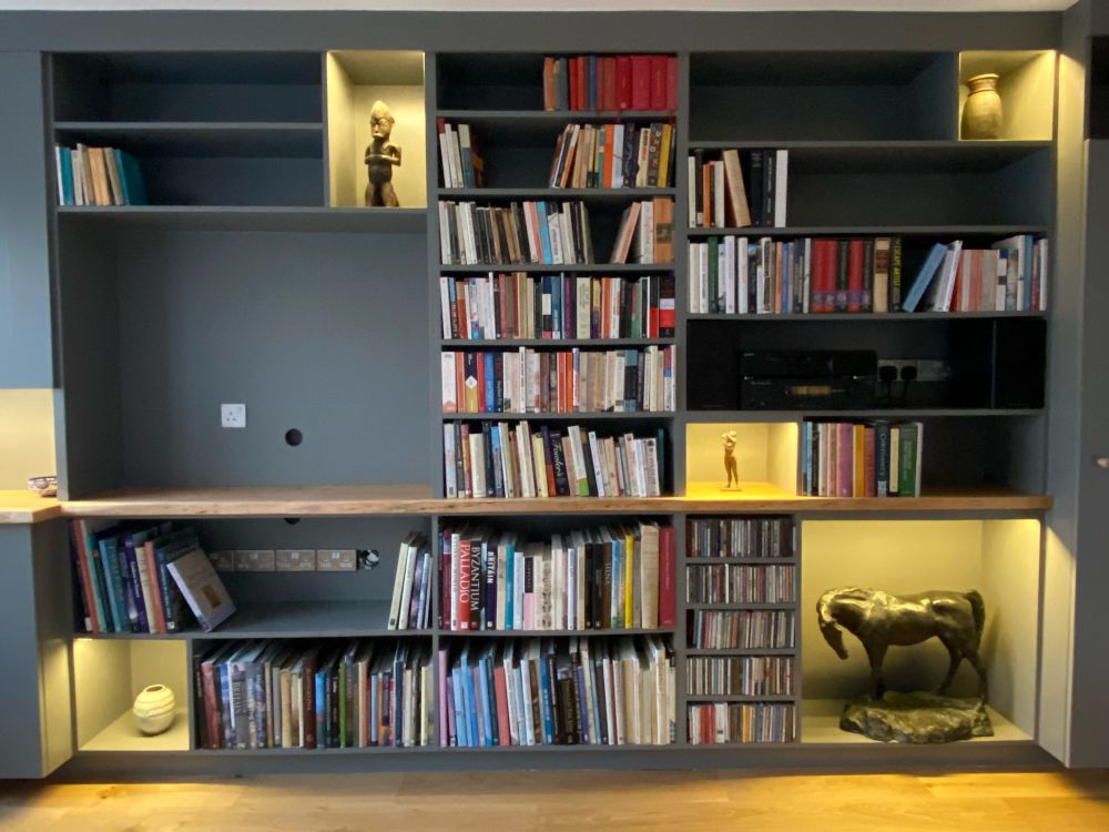 Bookshelves and books. 