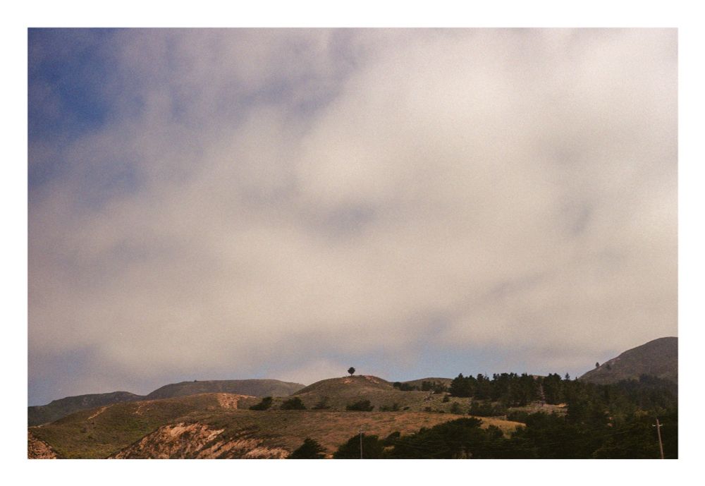 A photograph of a hillside. The right side of the hill features more trees and vegetation, and the left side is a bit more bare. Centered is a tree that stands on its own, poking above the crest of the center most hill. The horizon sits low in the frame, with more than three quarters of the image being a cloudy sky. 
