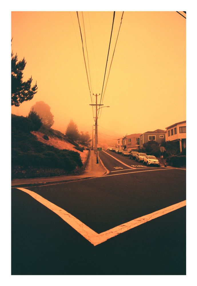A photograph of an intersection viewed from one corner, looking down one of the adjoining streets. In the foreground two of the crosswalks form a V shape. The photo is in line with a row of power lines, which cut through the middle of the frame. The street the camera is looking down has a row of cars and houses on one side, and a hillside with a couple trees on the other. In the deep background, everything fades into fog. The shot is taken on redscale film, a process that results in everything shifting towards warmer tones on the spectrum. Many of the details appear orange, with the sky and fog appearing as a glowing yellow. 