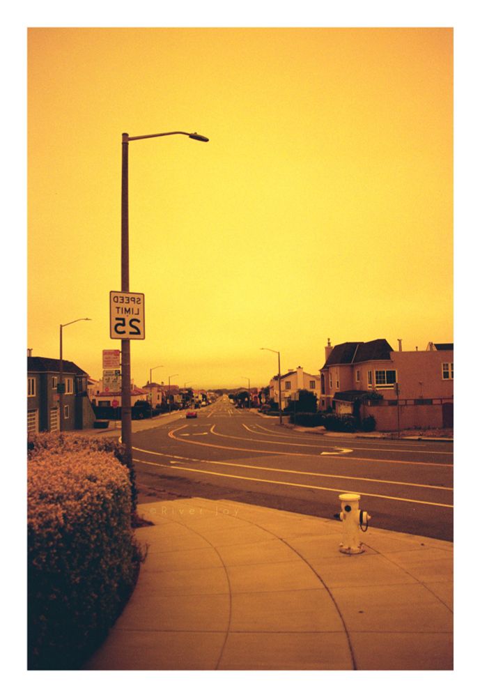 A photograph taken on redscale film of a road in San Francisco near the Lakeshore/Sunset district. Near the foreground, the road curves to the right, and in front of that the sidewalk curves in the opposite direction. A fire hydrant and a hedge line either side of the sidewalk, and houses and parked cars line the street in the background. The top half of the image is mostly empty sky, with only a street lamp breaking up the negative space. There is a sign that reads “SPEED LIMIT 25” on the lamp post, but it appears mirrored as the photographic process used results in an inverted image. The photo is taken on redscale film, which results in color shifts towards warmer tones in the spectrum. The sky is yellow, and most details such as the sidewalk, some signs, cars, etc. all appear orange. Darker areas in shadow are a warm grey. Some other colors are preserved in some of the street signs. 