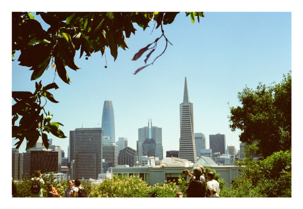 A photograph of the San Francisco skyline taken from Telegraph Hill, near Coit Tower. The Transamerica Pyramid and the Salesforce Tower as well as other buildings are visible, framed by trees in the foreground. 