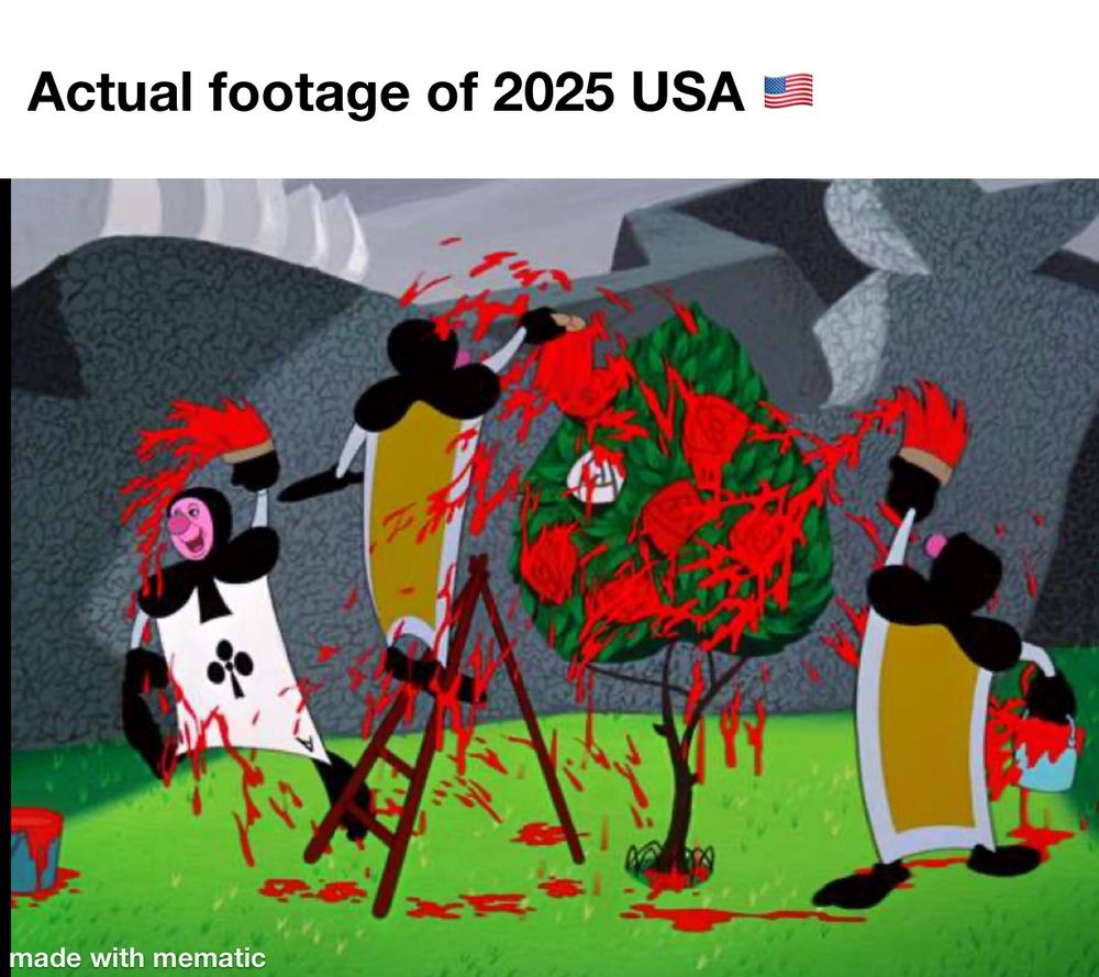 A cartoon image from Alice in Wonderland of cards, painting the roses red. Above the meme it says “actual footage of 2025 USA.”