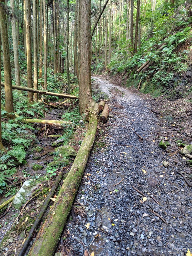 北向き地蔵から武蔵横手駅への沢沿いの下り。