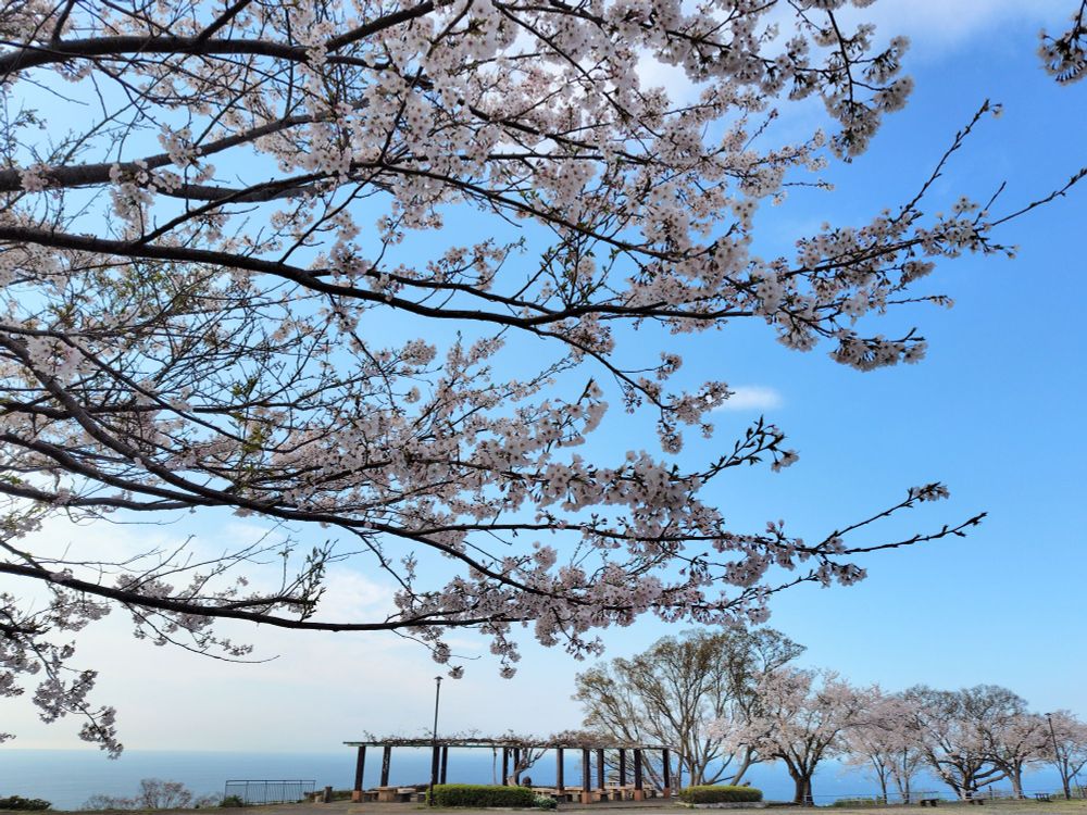湘南平（高麗山公園）の海の見える東屋