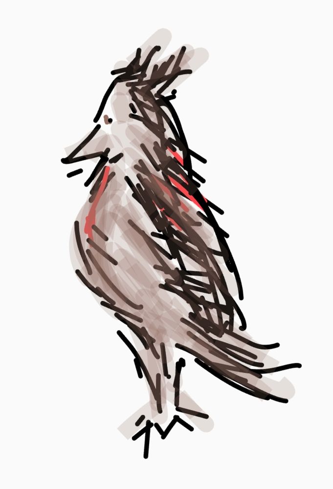 Drawing of a bird that looks suspiciously like a good dog 