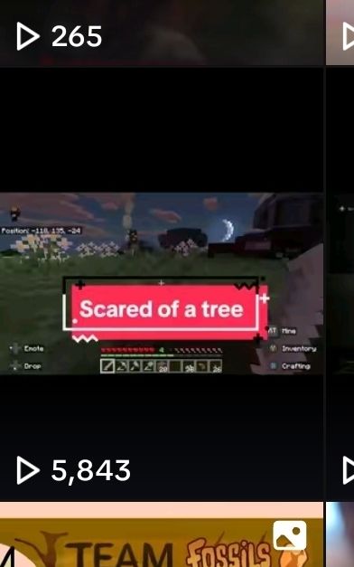 A tiktok vid of mine about minecraft with more than 5,800 views 