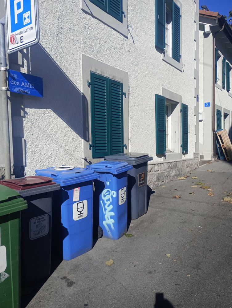 Photo de rue. Des poubelles et au-dessus le nom de la rue : rue des amis.