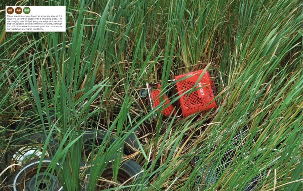 Review: An Artist/Photographer Analyzes the Wanderlust of Stray Shopping Carts | Third Coast Review