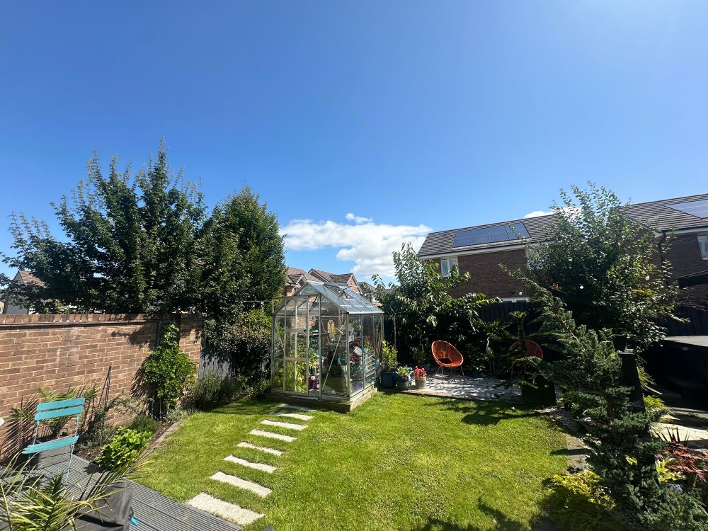 A garden with a greenhouse, lawn and plants. The sky is blue and the sun is shining 