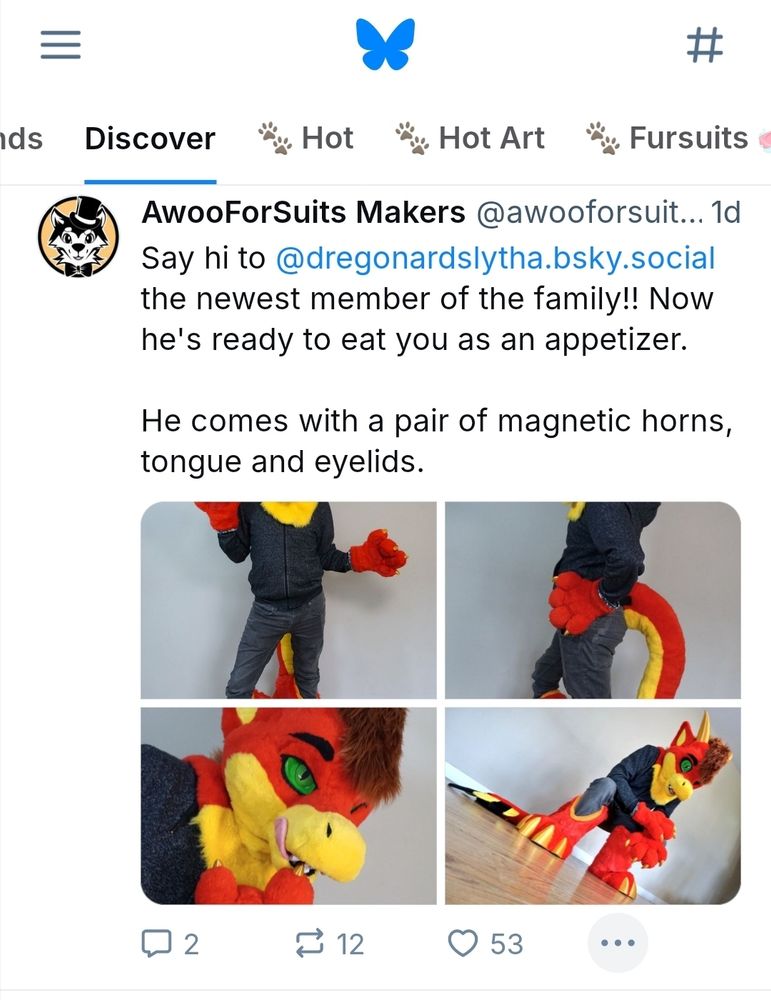 Showing the triple dot option on a post in the discover tab