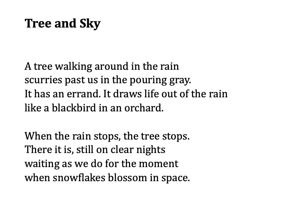 A tree walking around in the rain
scurries past us in the pouring gray.
It has an errand. It draws life out of the rain 
like a blackbird in an orchard.

When the rain stops, the tree stops.
There it is, still on clear nights 
waiting as we do for the moment 
when snowflakes blossom in space.