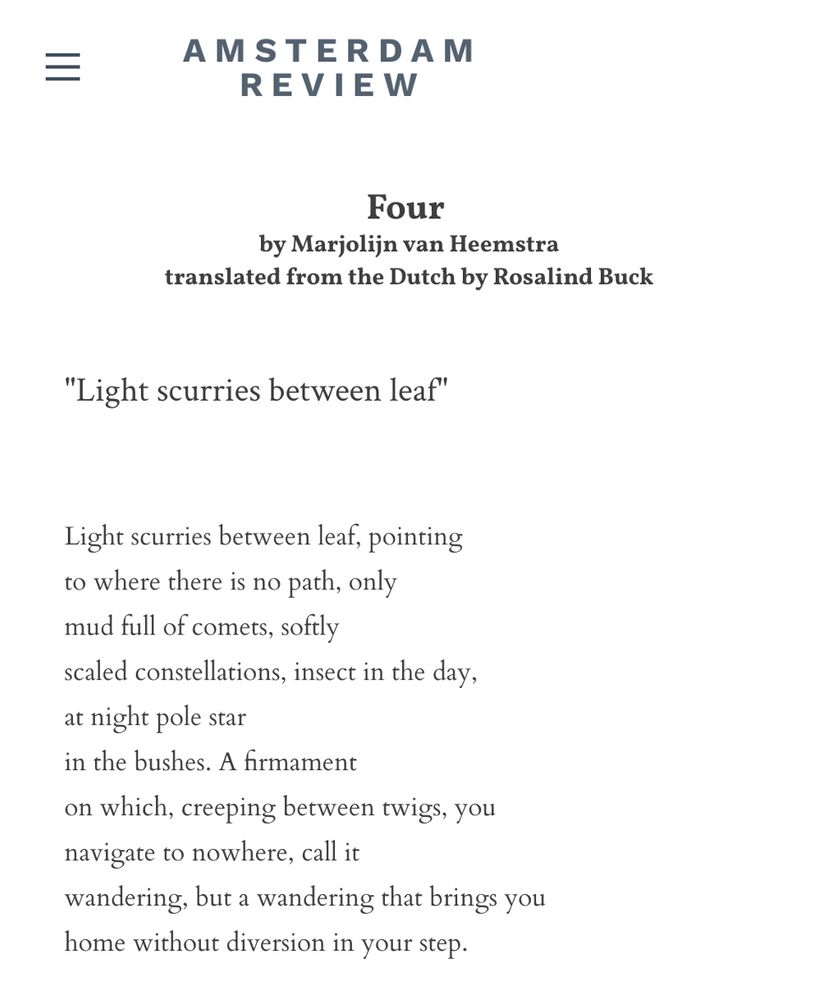​Light scurries between leaf, pointing
to where there is no path, only
mud full of comets, softly
scaled constellations, insect in the day,
at night pole star
in the bushes. A firmament
on which, creeping between twigs, you
navigate to nowhere, call it
wandering, but a wandering that brings you
home without diversion in your step.