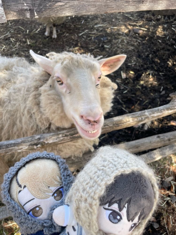 食われる〜！！