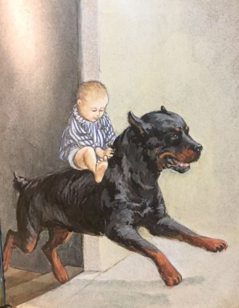 baby on carl as carl leaps through the doorway, from the classic picture book "good dog carl" by alexandra day