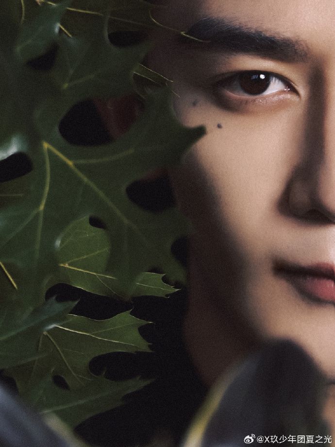 A close up of Xia Zhiguang's face with green foliage in the foreground.