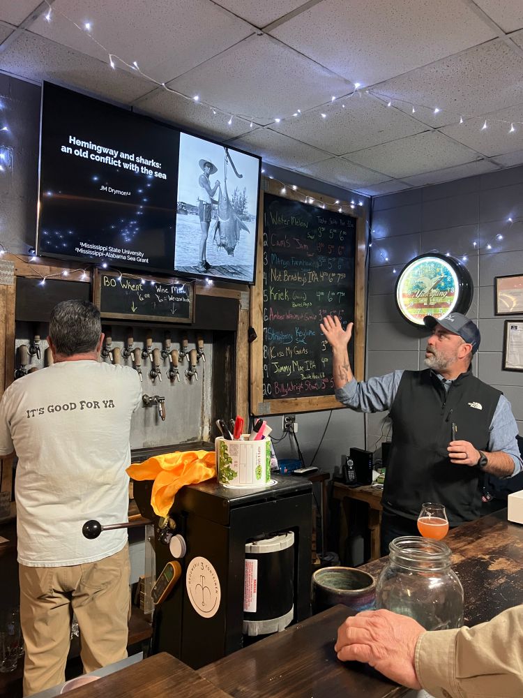 Shark presentation in a bar