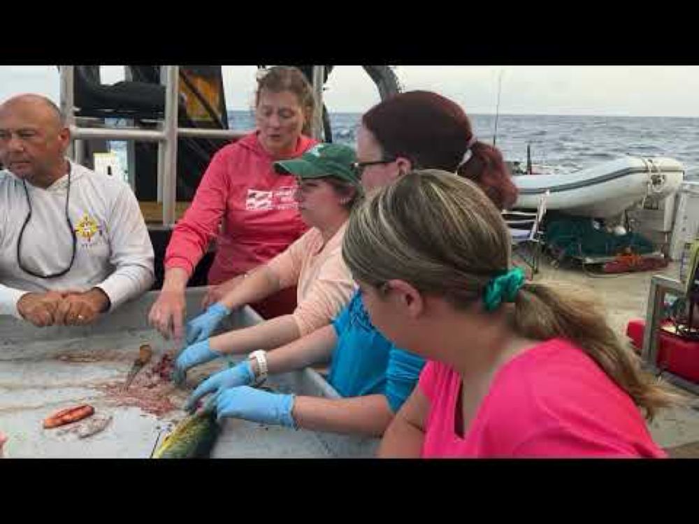 Marine Biology Research Vessel Cruise