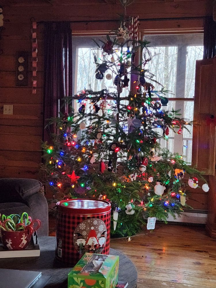 Living room with coffee table in foreground, Christmas tree in background. Tree is in front of double windows. Branches of tree are thin. Coffee table has popcorn tin, bowl of candy canes and a basket of remote controls on it.