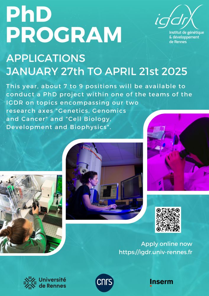 IGDR PhD Call | Exploring living for tomorrow's health

Applications up to april 21st 2025 13:00 am

This year, about 7 to 9 positions will be available to conduct a PhD project within one of the teams of the IGDR on topics encompassing our two research axes "Genetics, Ganomics and Cancer" and "Cell Biology, Development and Biophysics".

Apply online now
https://igdr.univ-rennes.fr
