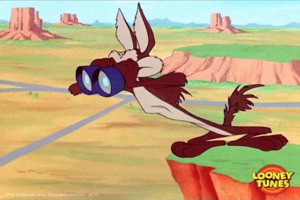 a cartoon of a coyote with binoculars and the words looney tunes on the bottom right