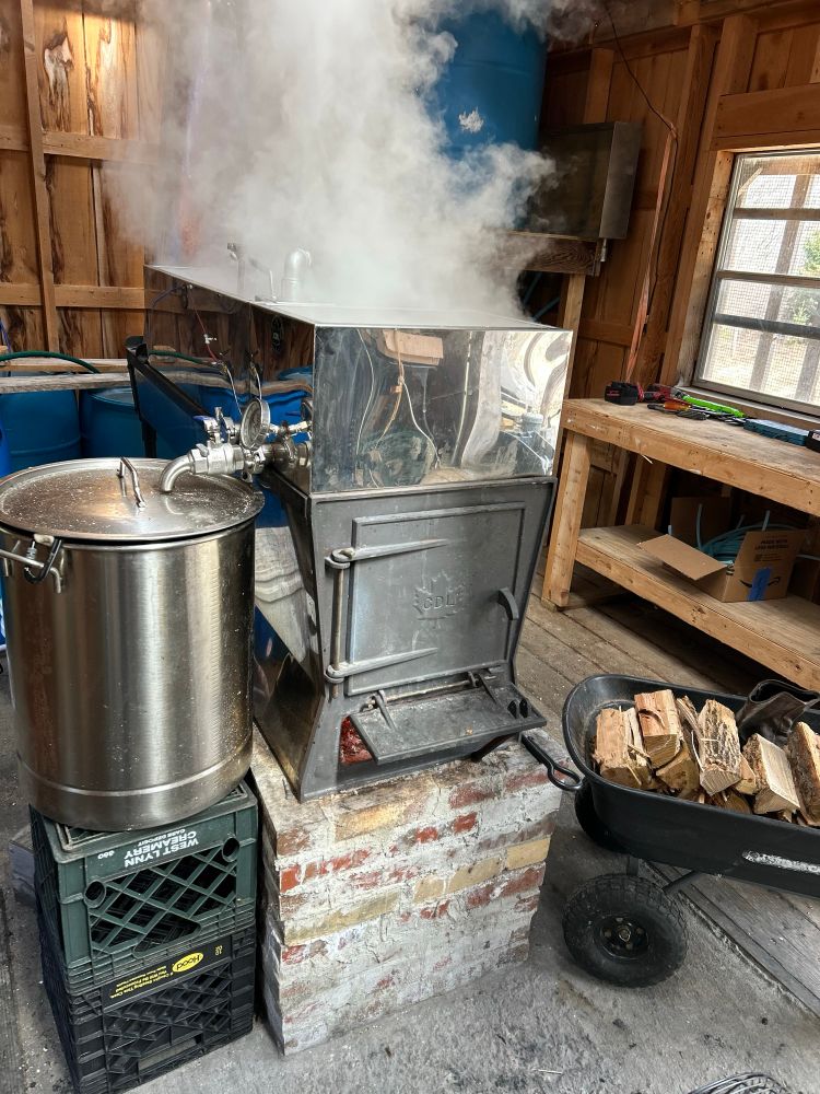 Maple syrup evaporator with a stainless steel tank on one side and a small cart with wood for the fire on the other side. Steam is rising