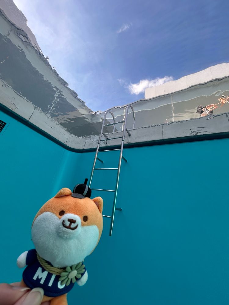 スイミング・プール