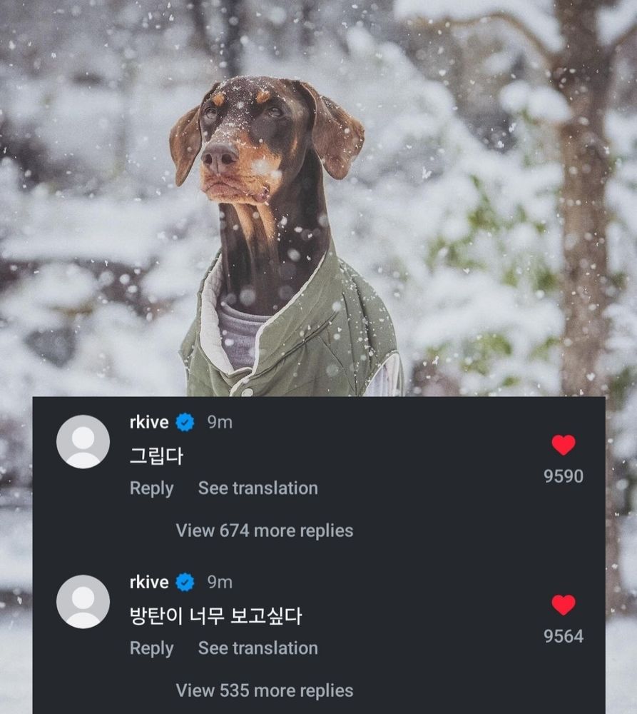 Jungkook's dog Bam in the snow.
On top are Namjoon's comments.
I miss it. I miss bangtan so much 