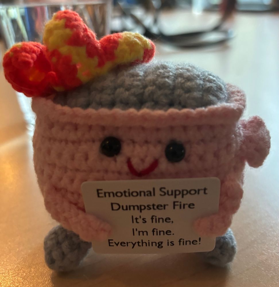 A knit pink dumpster with fire holding a sign that says "Emotional Support Dumpster Fire. It's fine, I'm fine. Everything is fine!"