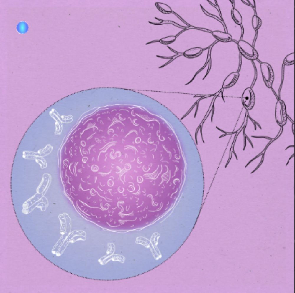 New grant expands Long COVID lymph node study - PolyBio Research Foundation
