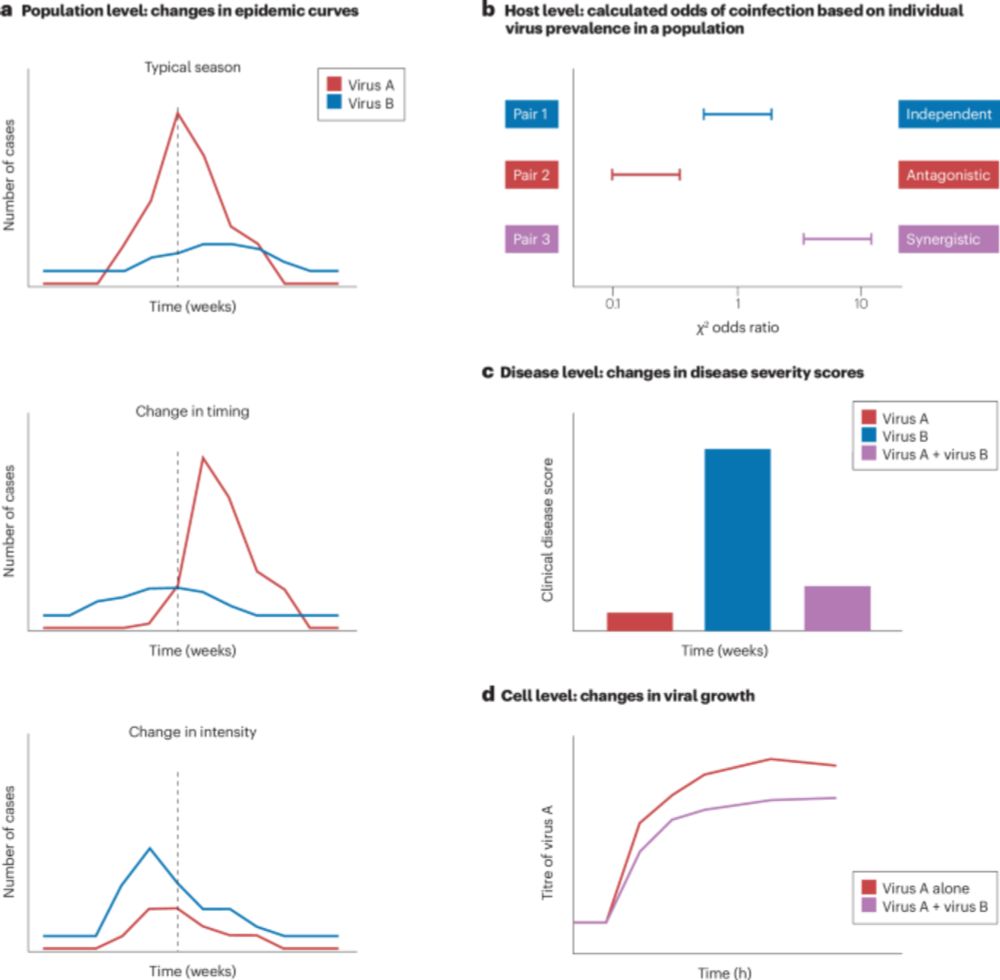 Respiratory viral coinfections: interactions, mechanisms and clinical implications - Nature Reviews Microbiology