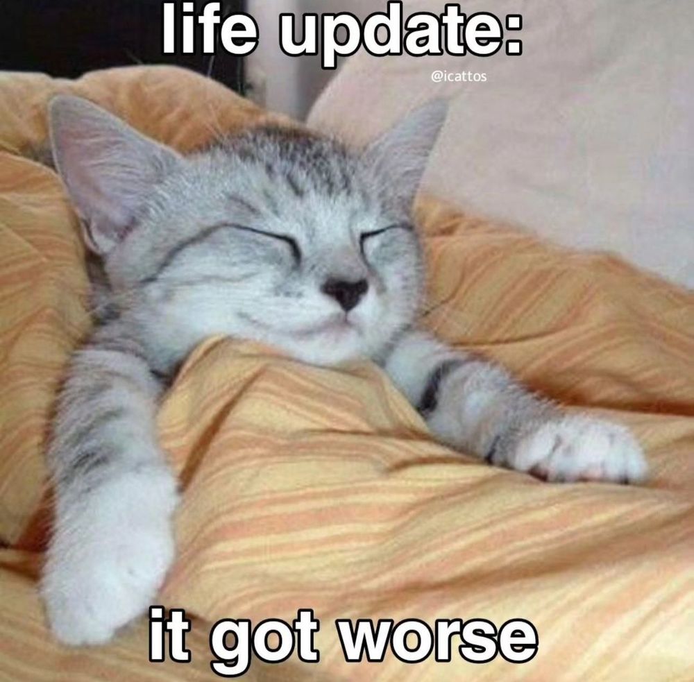 Kitten tucked into a bed captioned "Life update: it got worse"