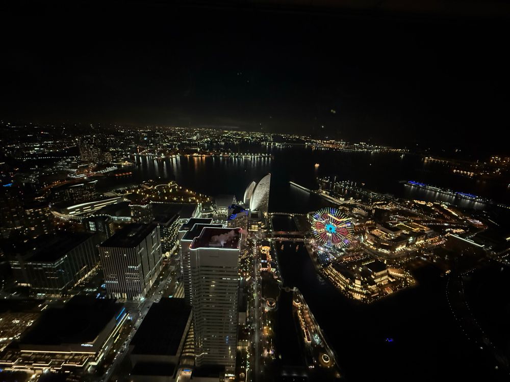 View from the Landmark Tower