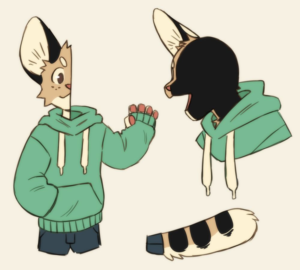 A digital character reference of an anthropomorphic cat-like creature. He is orange and black, and is cartoonishly missing the left side of his head and face. On the left he is waving and facing the viewer. On the right it shows the left side of his head is solid black and flat. On the bottom is his short tail, which has three black bars. He is wearing a teal hoodie. The background is off-white.
