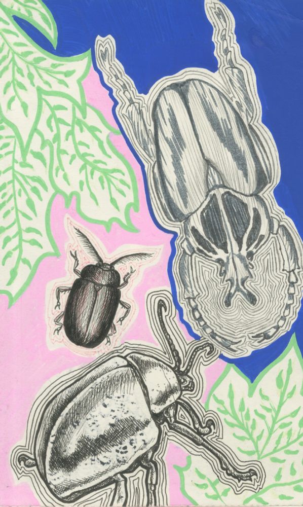 An illustration of three beetles and two plant motifs on opposite corners with a blue and pink solid background. The illustration is made with posca markers and micron pens with other varied markers on sketchbook paper. Made by Maieve Turner. 