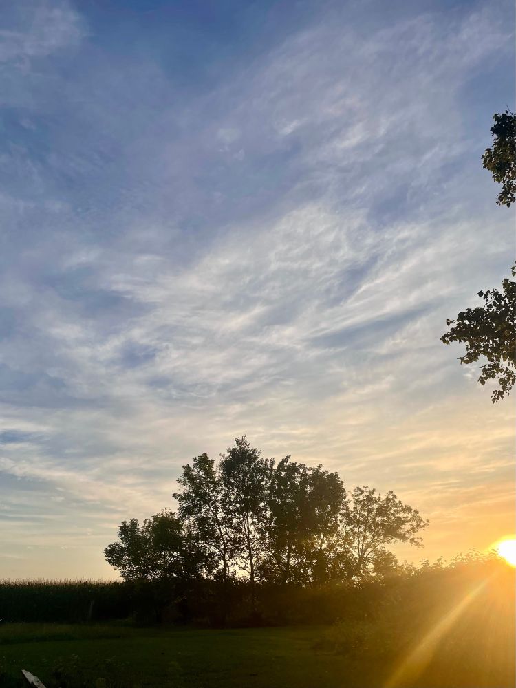 Sunrise peeking over trees on the east horizon