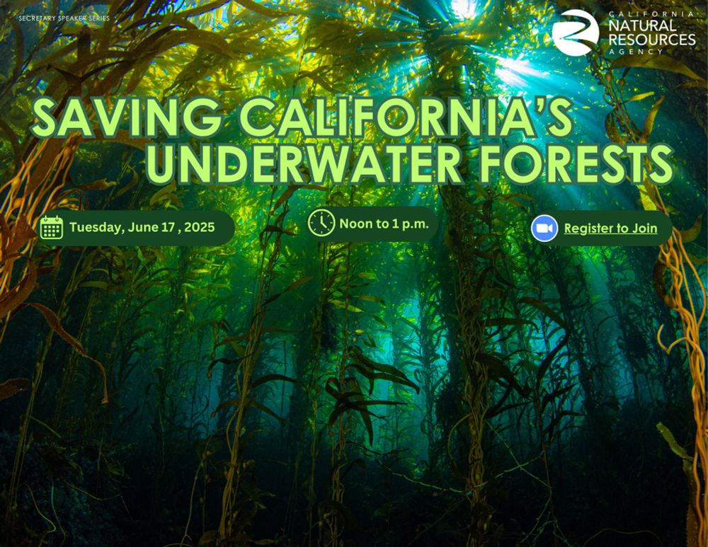 A wide shot of a kelp forest is shown from an underwater angle, with rays of light poking through bull kelp fronds that reach toward the ocean's surface. Text overlay reads "Saving California's Underwater Forests" with the California Natural Resources Agency logo shown in the top right. Date of event is Tues June 17, 2025, noon to 1pm, and the zoom registration logo is shown on the picture. 