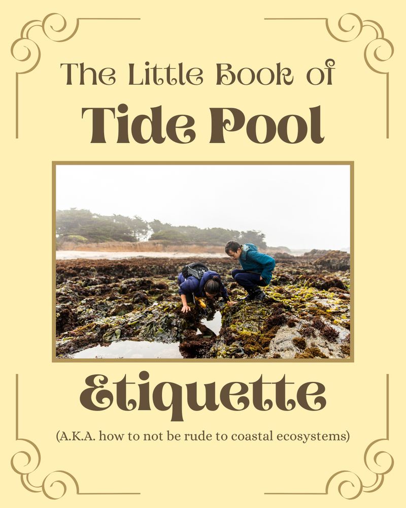 Illustrated vintage-style pocket book cover, reading “The Little Book of Tide Pool Etiquette” with a large image of two people crouching over a tide pool in California. Subheader reads “(A.K.A. how to not be rude to coastal ecosystems)”