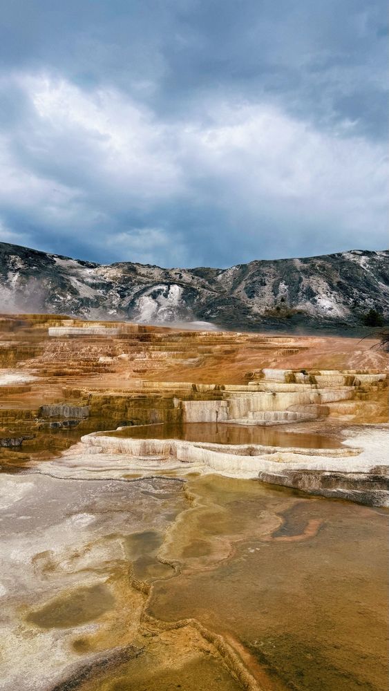 Mammoth Hot Springs at Yellowstone National Park 