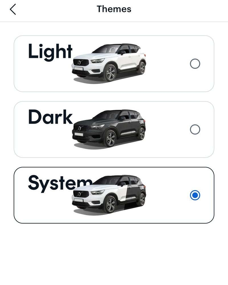 A screenshot of CarGurus’s “Themes” settings screen from their iOS app.
