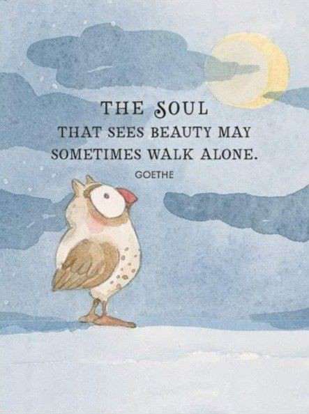 The Soul that sees beauty may sometimes walk alone.
Goethe