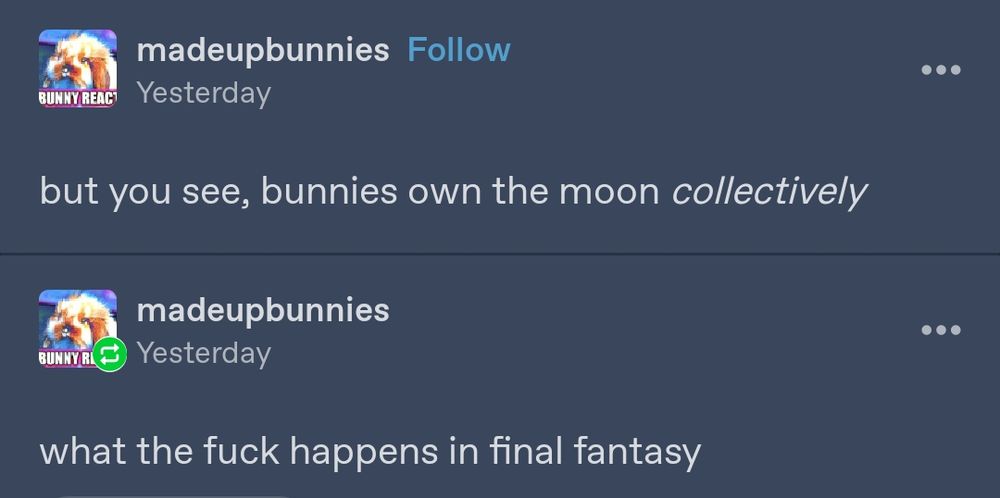 A Tumblr post by madeupbunnies:

but you see, bunnies own the moon *collectively*

A reblog by madeupbunnies:

what the fuck happens in final fantasy