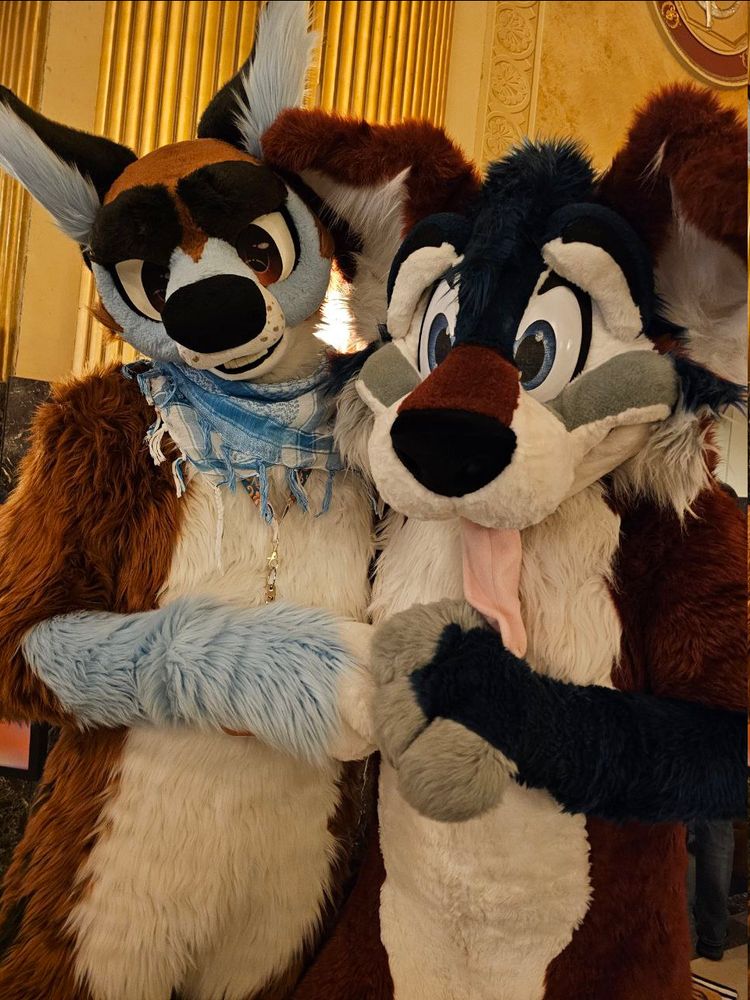 A rather tall dog fursuiter posing with a wolf fursuiter with their handpaws touching