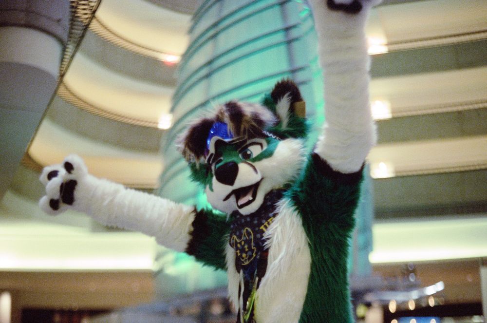 A green foxsky (fox-husky) fursuiter with arms raised in front of the atrium sail in the Mariott Marquis Atlanta hotel. The sail is lit up green from the inside.