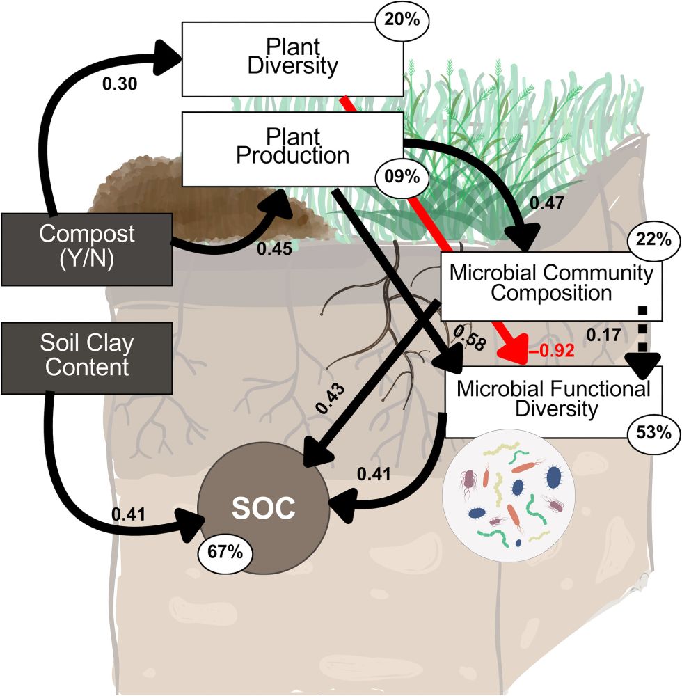 Figure 5 from the article. Image is a conceptualized drawing of the paths from different variables to soil organic carbon (SOC).
