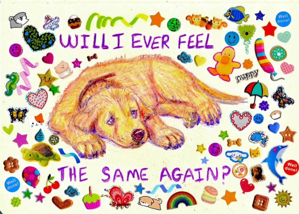 A crayon illustration of a sad golden retriever puppy laying down. There are bright stickers surrounding him with the words “Will I ever feel the same again?” Written around it