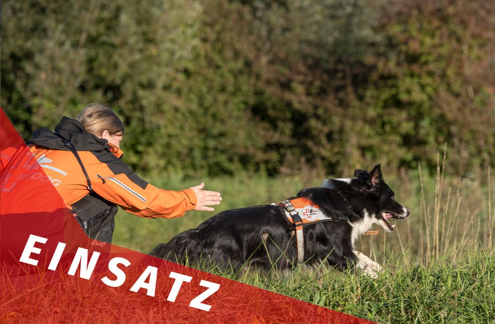 Hund und seine Hundeführerin