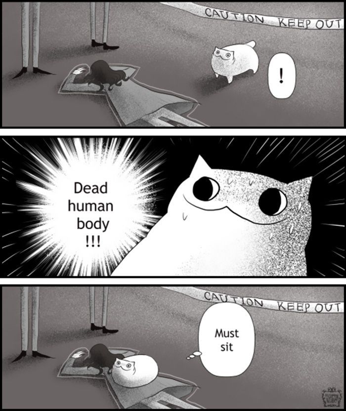 Panel breakdown:

The cat arrives at a crime scene, spotting a body and reacting with curiosity.

Its eyes widen with cartoonish excitement: “Dead human body!!!”

Without hesitation, it plops down on the corpse, declaring: “Must sit.”